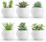 Der Rose Set of 6 Succulents Plants Artificial in Pots Small Fake Plants for Bedroom, Living Room, Shelf, Bathroom Decor, Office Desk Accessories