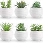Der Rose Set of 6 Succulents Plants Artificial in Pots Small Fake Plants for Bedroom, Living Room, Shelf, Bathroom Decor, Office Desk Accessories