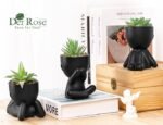 Der Rose 3pcs Fake Succulents Plants Artificial for Black Bathroom Bedroom Home Living Room Halloween Decor Aesthetic Indoor - Image 2
