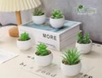 Der Rose Set of 6 Succulents Plants Artificial in Pots Small Fake Plants for Bedroom, Living Room, Shelf, Bathroom Decor, Office Desk Accessories - Image 6