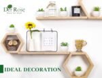 Der Rose Set of 6 Succulents Plants Artificial in Pots Small Fake Plants for Bedroom, Living Room, Shelf, Bathroom Decor, Office Desk Accessories - Image 3