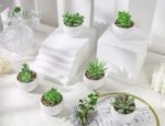 Der Rose Set of 6 Succulents Plants Artificial in Pots Small Fake Plants for Bedroom, Living Room, Shelf, Bathroom Decor, Office Desk Accessories - Image 4