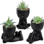 Der Rose 3pcs Fake Succulents Plants Artificial for Black Bathroom Bedroom Home Living Room Halloween Decor Aesthetic Indoor