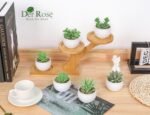 Der Rose Set of 6 Succulents Plants Artificial in Pots Small Fake Plants for Bedroom, Living Room, Shelf, Bathroom Decor, Office Desk Accessories - Image 5