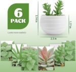 Der Rose Set of 6 Succulents Plants Artificial in Pots Small Fake Plants for Bedroom, Living Room, Shelf, Bathroom Decor, Office Desk Accessories - Image 2
